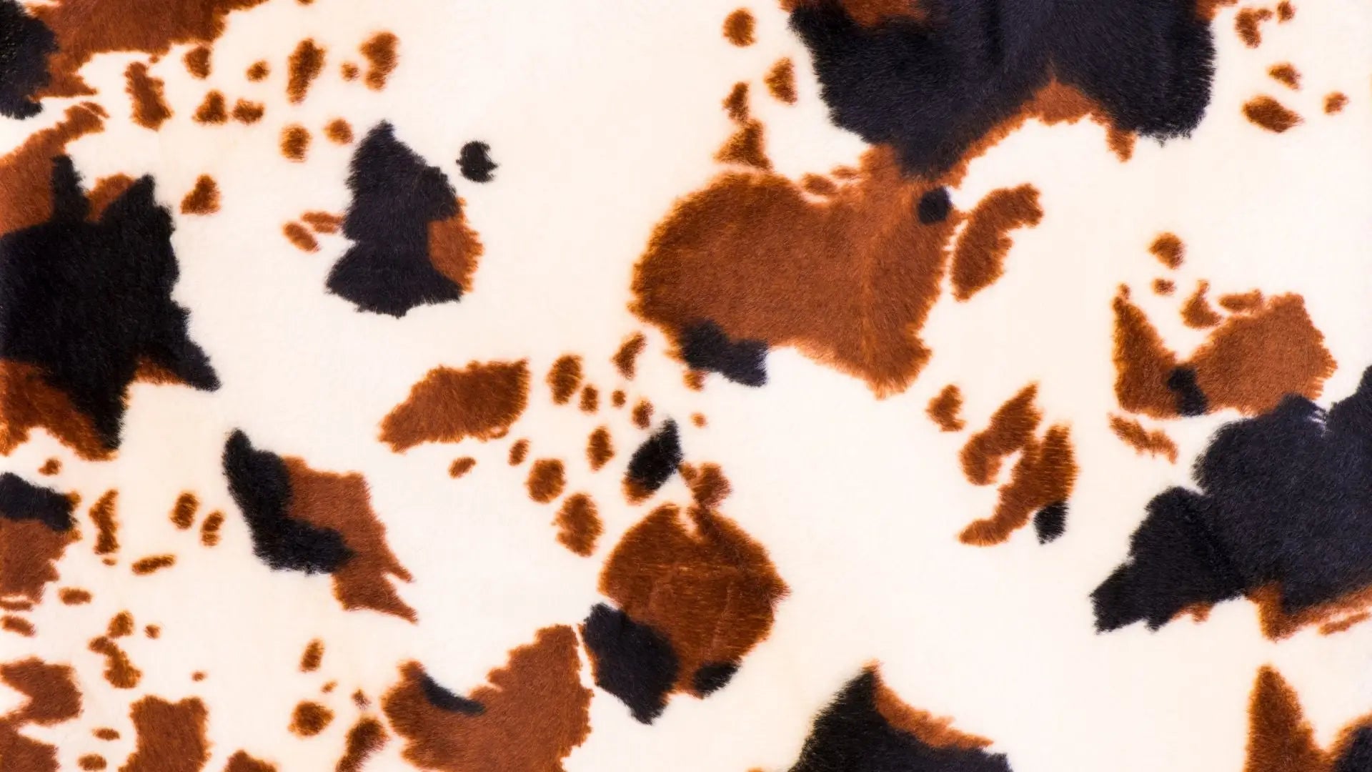 Comment nettoyer un tapis en peau de vache ?