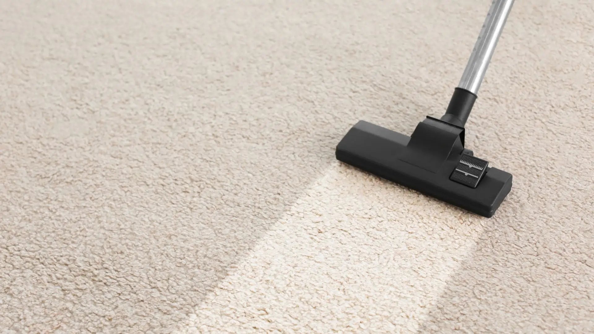 Quel est le meilleur nettoyant pour tapis ?