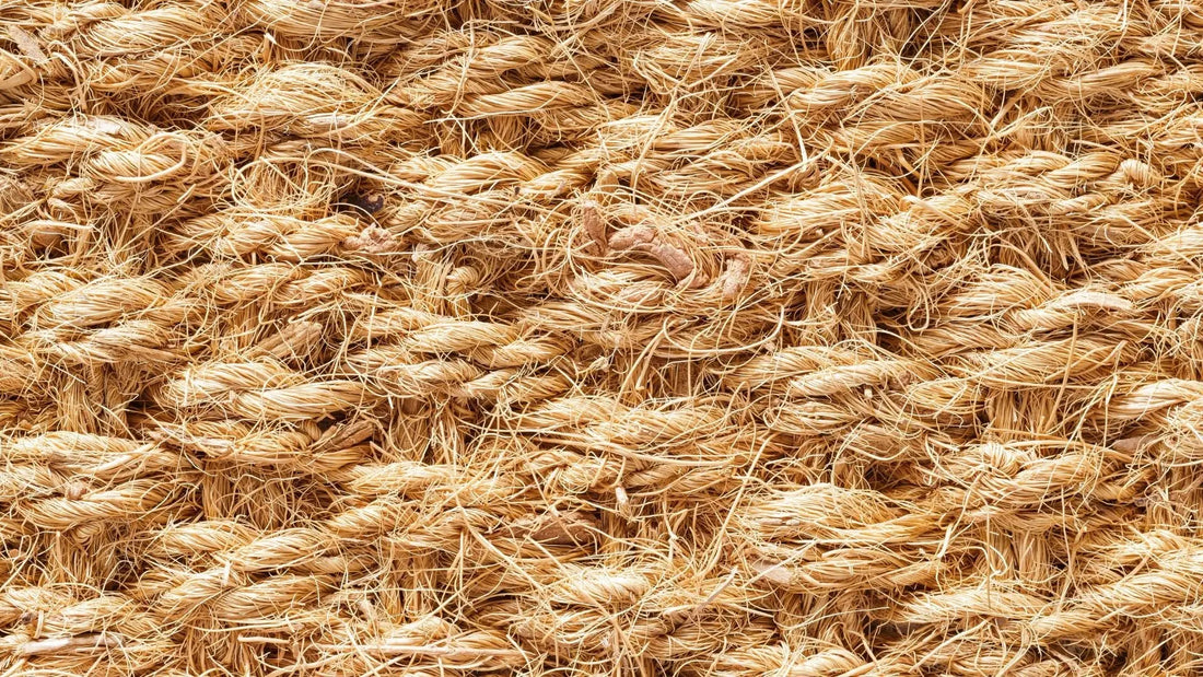 Quel est le prix d’un tapis coco ?