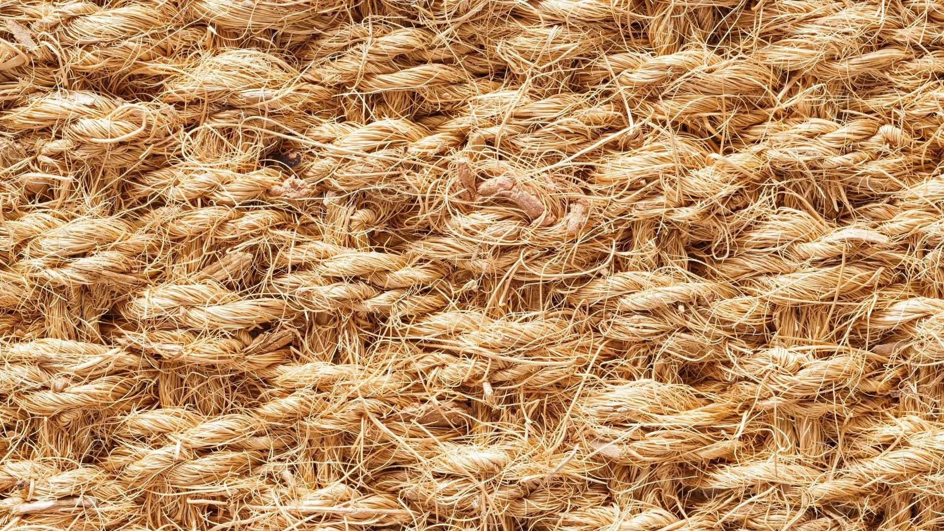 Quel est le prix d’un tapis coco ?