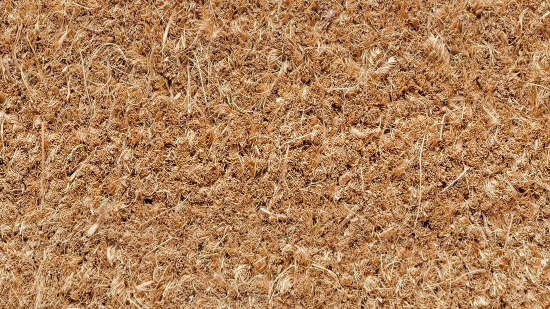 Qu’est ce qu’un tapis coco ?