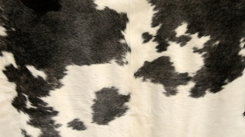 tapis peau de vache