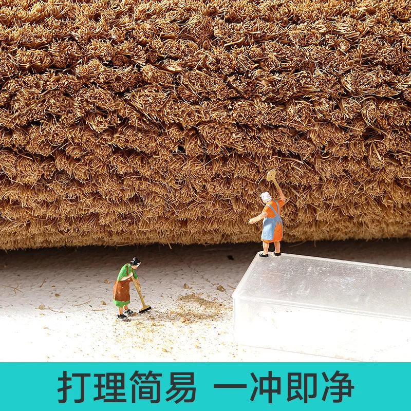 coco tapis