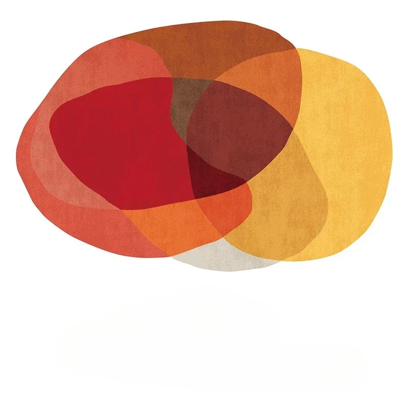tapis forme irrégulière coloré 80x120cm