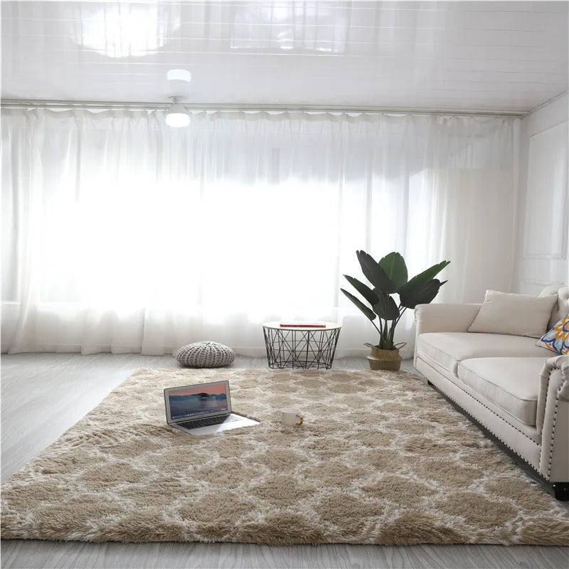 tapis salon poil long 80x120cm